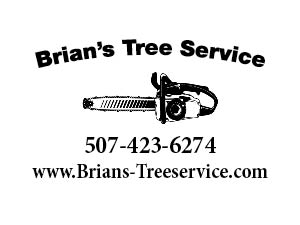 Brians Tree Service